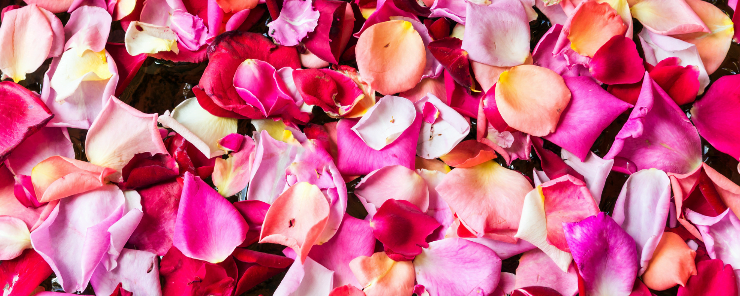 Add-On Fresh Rose Petals Package, Reynolds Mansion